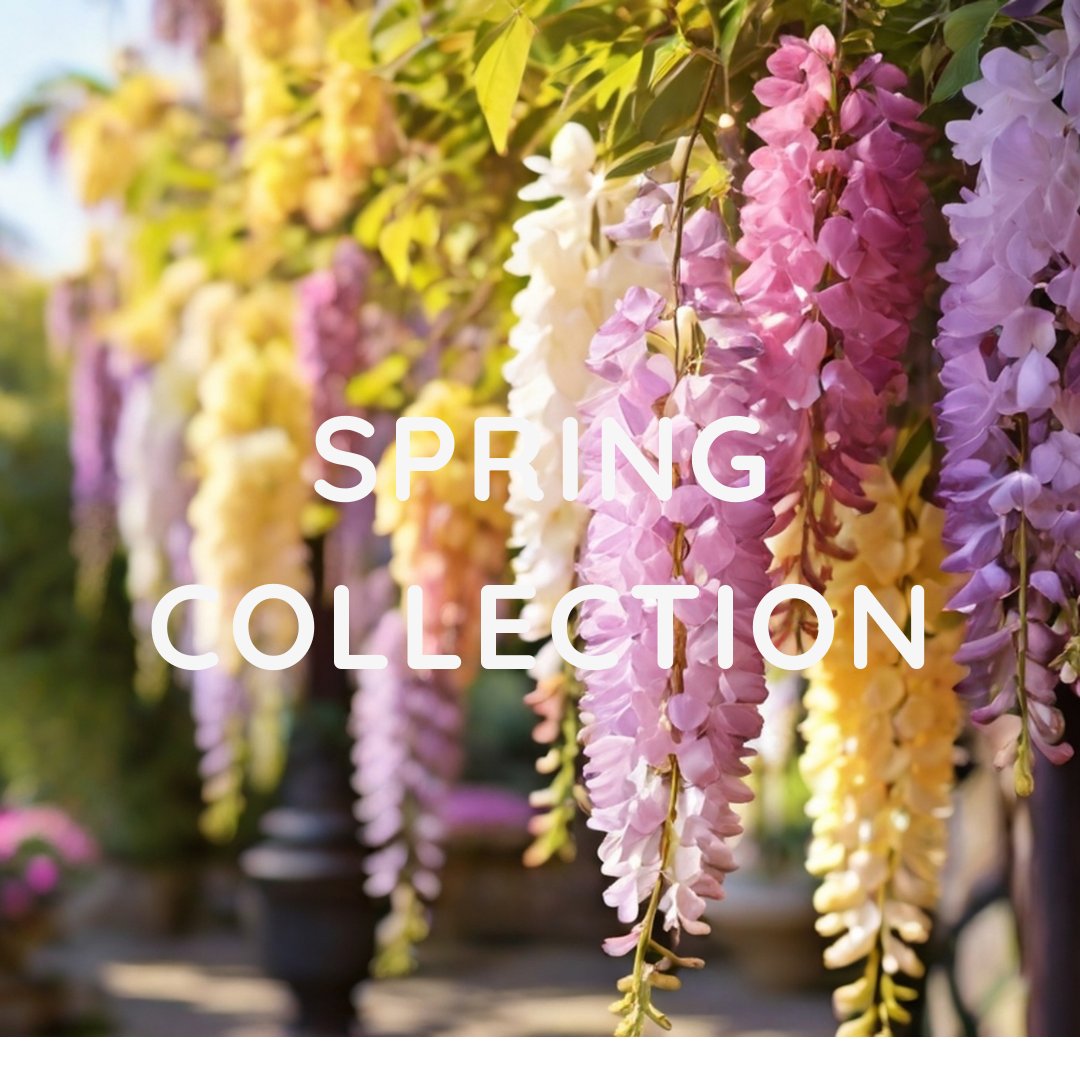 SPRING COLLECTION