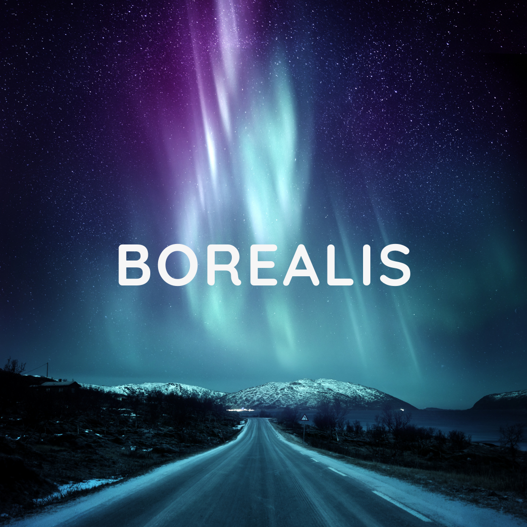 Borealis - Luxury Scented Wooden Wick Candle