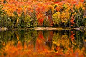 AUTUMN COLLECTION