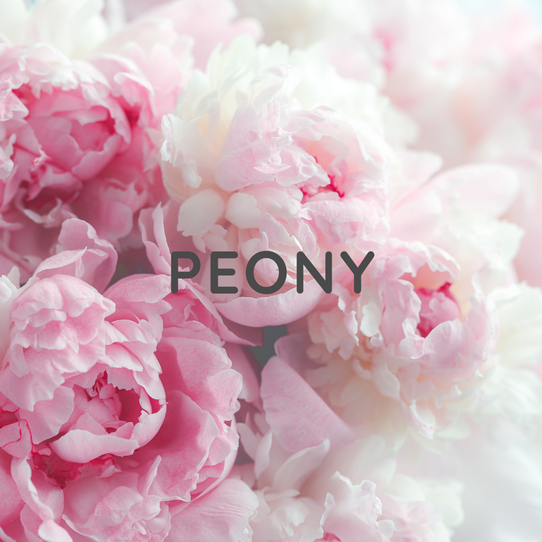 Peony – Floral Luxury Wooden Wick Candle