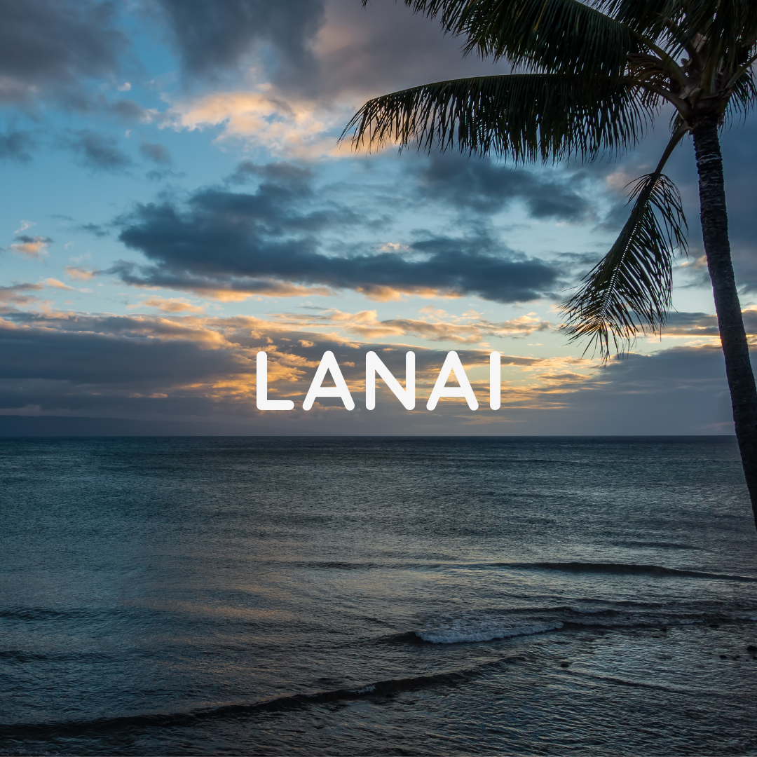 Lanai - Luxury Scented Wooden Wick Candle