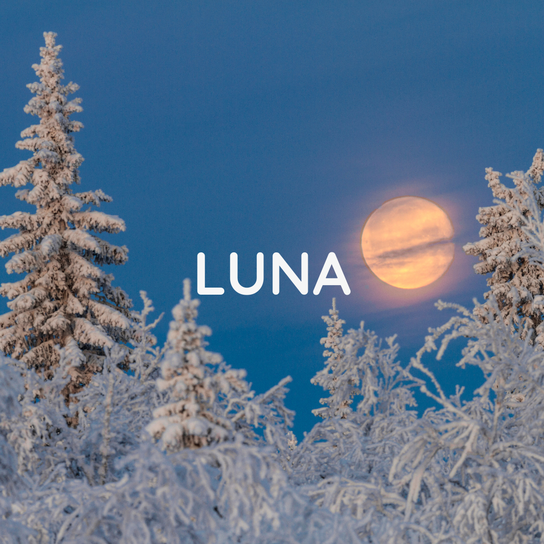Luna - Luxury Scented Wooden Wick Candle