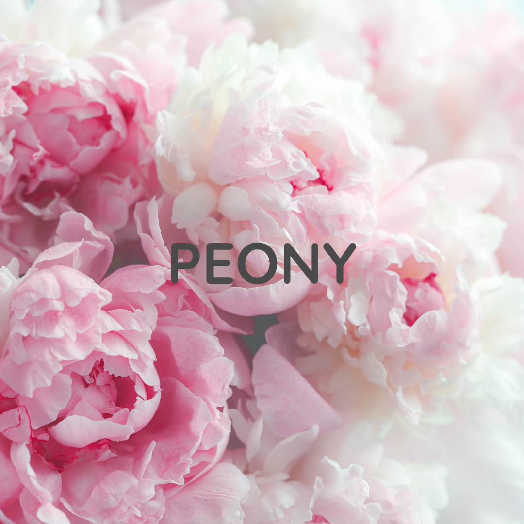 Peony – Floral Luxury Wooden Wick Candle