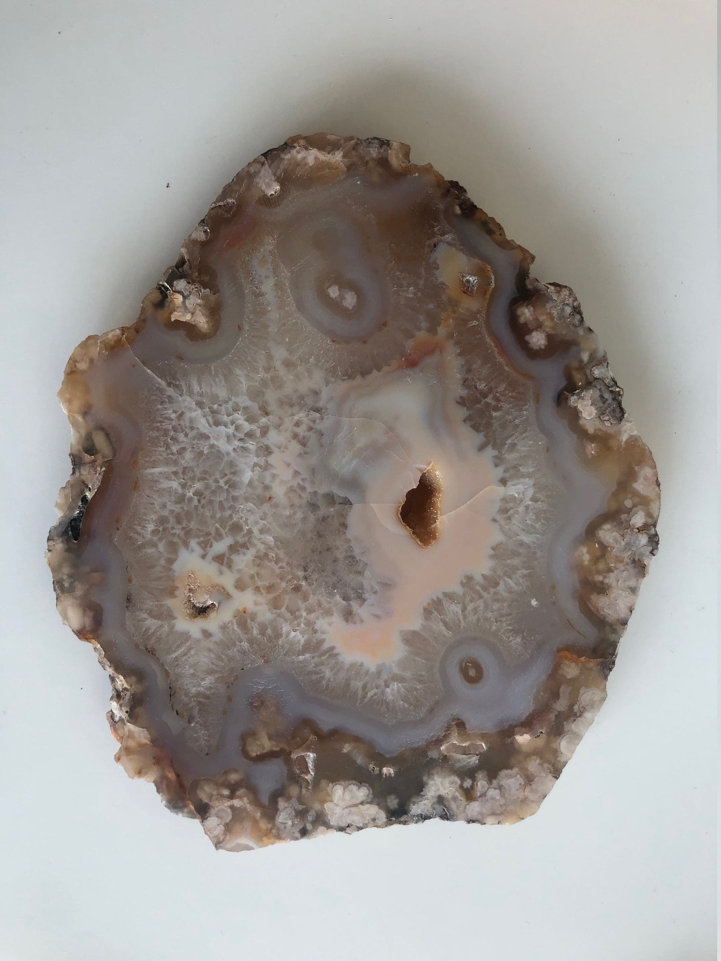 Creamsicle Flower Agate Slab with Botryoidal Druzy Centre