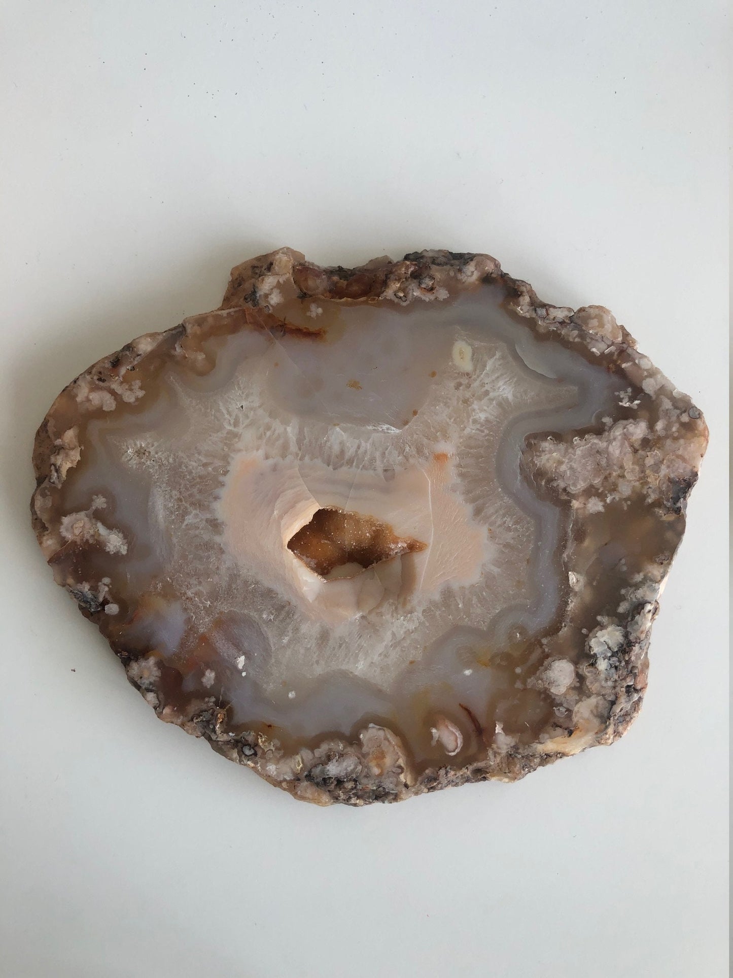 Creamsicle Flower Agate Slab with Botryoidal Druzy Centre